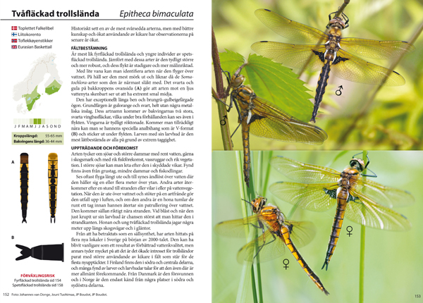 Dragonflies book - Hirschfeld media