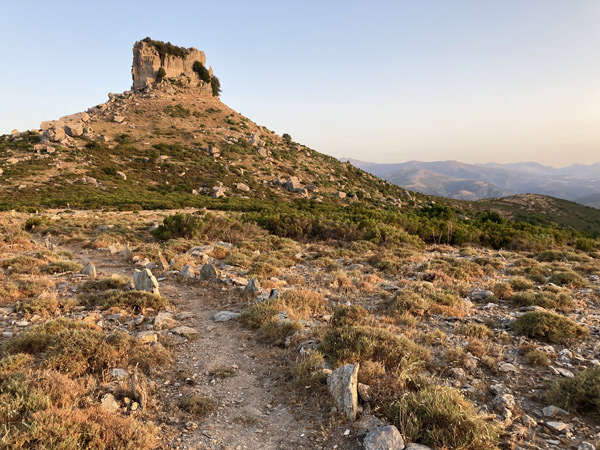 Searching for the Sardinian Chalk Hill Blue - Lysandra gennargenti